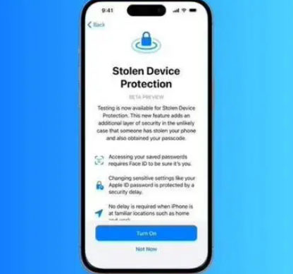 杨陵苹果授权维修店分享被盗设备保护功能开启方法 