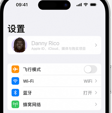 杨陵appleID维修服务iPhone设置中Apple ID显示为灰色无法使用