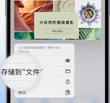 杨陵apple维修中心分享iPhone文件应用中存储和找到下载文件