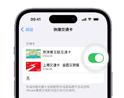 杨陵apple维修点分享iPhone上更换Apple Pay快捷交通卡手绘卡面 