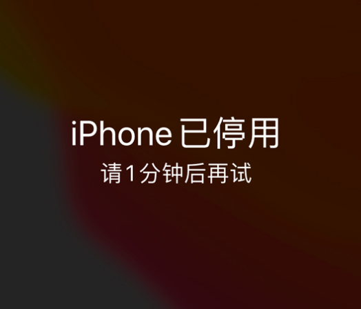 杨陵苹果手机维修分享:iPhone 显示“不可用”或“已停用”怎么办？还能保留数据吗？ 