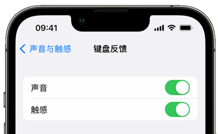 杨陵苹果手机维修分享iPhone 14触感键盘使用方法 