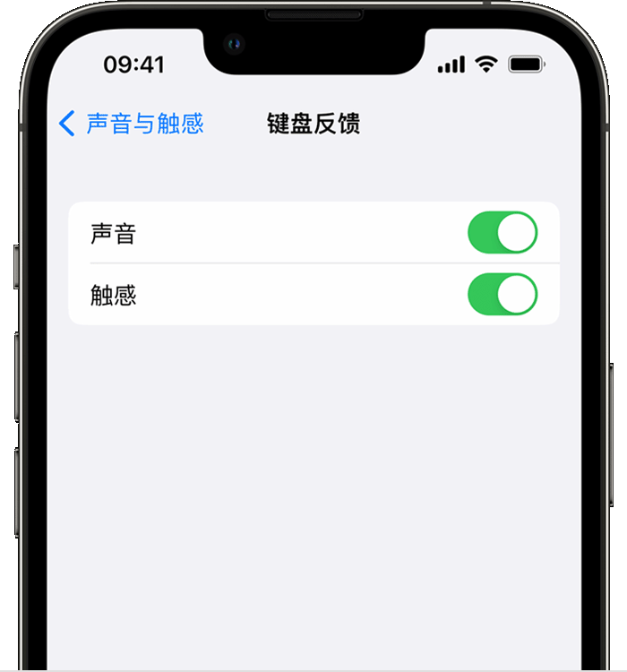 杨陵苹果14维修店分享如何在 iPhone 14 机型中使用触感键盘 