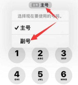 杨陵苹果14维修店分享iPhone 14 Pro Max使用副卡打电话的方法 