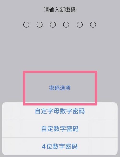 杨陵苹果14维修分享iPhone 14plus设置密码的方法 