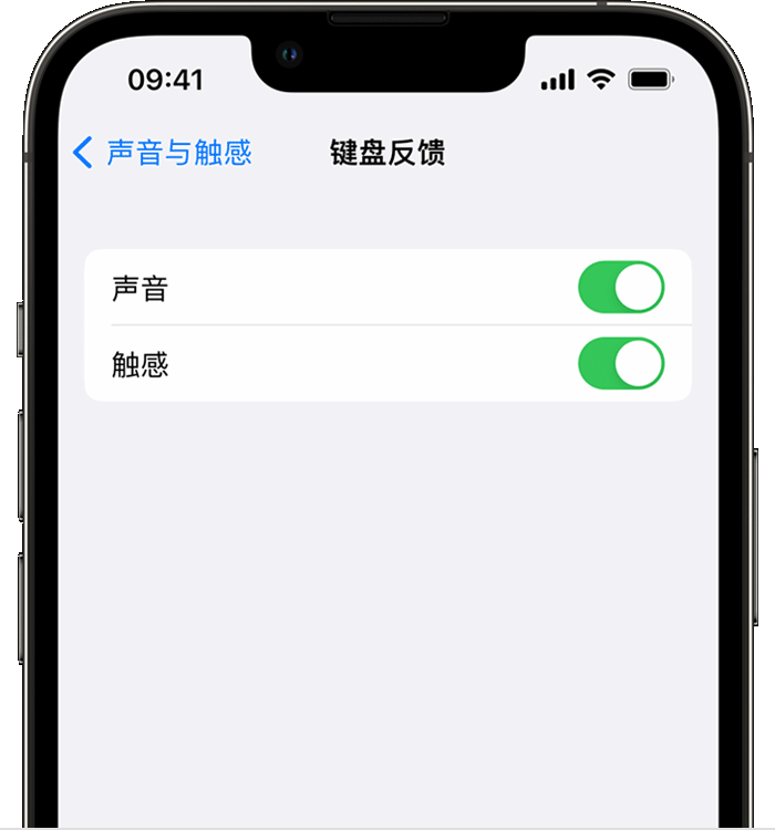 杨陵苹果14维修分享iPhone 14 系列机型如何开启键盘声音或触感反馈 