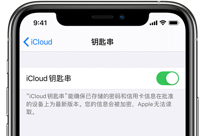 杨陵苹果手机维修分享在 iPhone 上开启 iCloud 钥匙串之后会储存哪些信息 