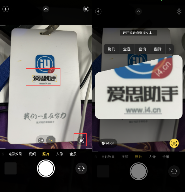 杨陵苹果手机维修分享升级iOS 16后如何通过相机翻译文本 