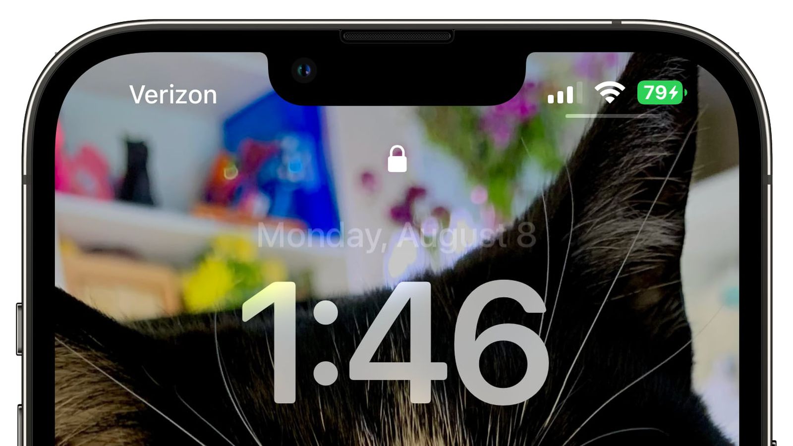 杨陵苹果手机维修分享iOS 16 beta 5 支持状态栏显示电池百分比，如何开启？支持哪些机型 