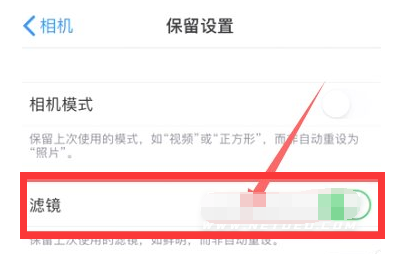 杨陵苹果13维修分享iPhone13拍照有绿点是怎么回事 