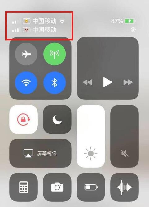 杨陵苹果手机维修分享为 iPhone 12 双卡设置标签 