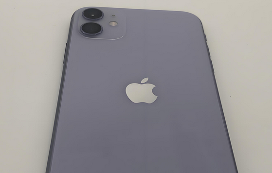杨陵苹果11系统维修分享iPhone11手机系统崩溃无法开机如何解决 